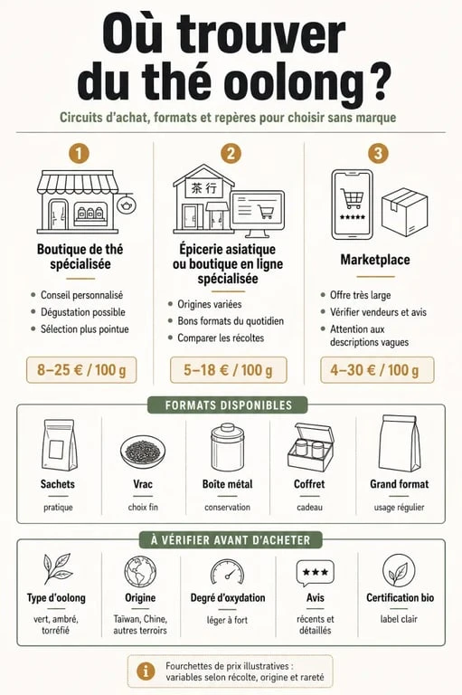 Où trouver the oolong : infographie comparant les circuits d’achat, les formats et les critères de choix